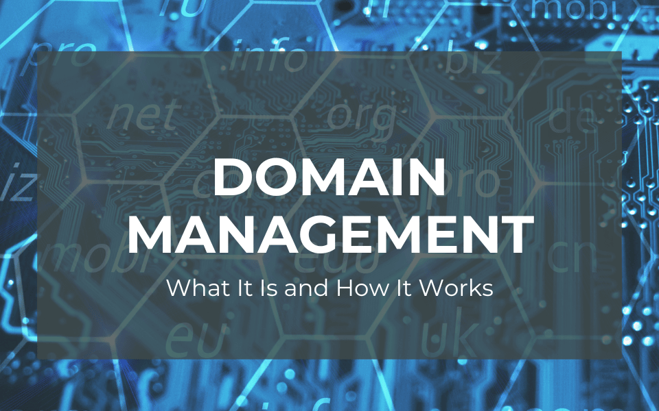 Domain Management: What It Is and How It Works